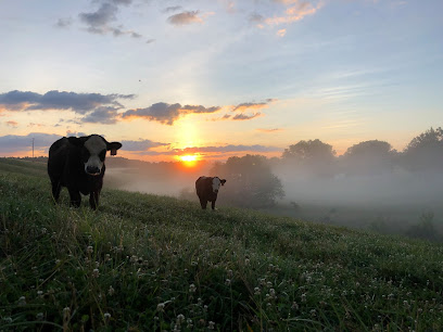 Heaven’s Hollow Farm