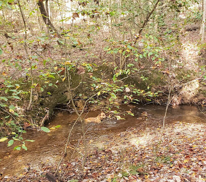 Trevilian Battlefield Trails and Park