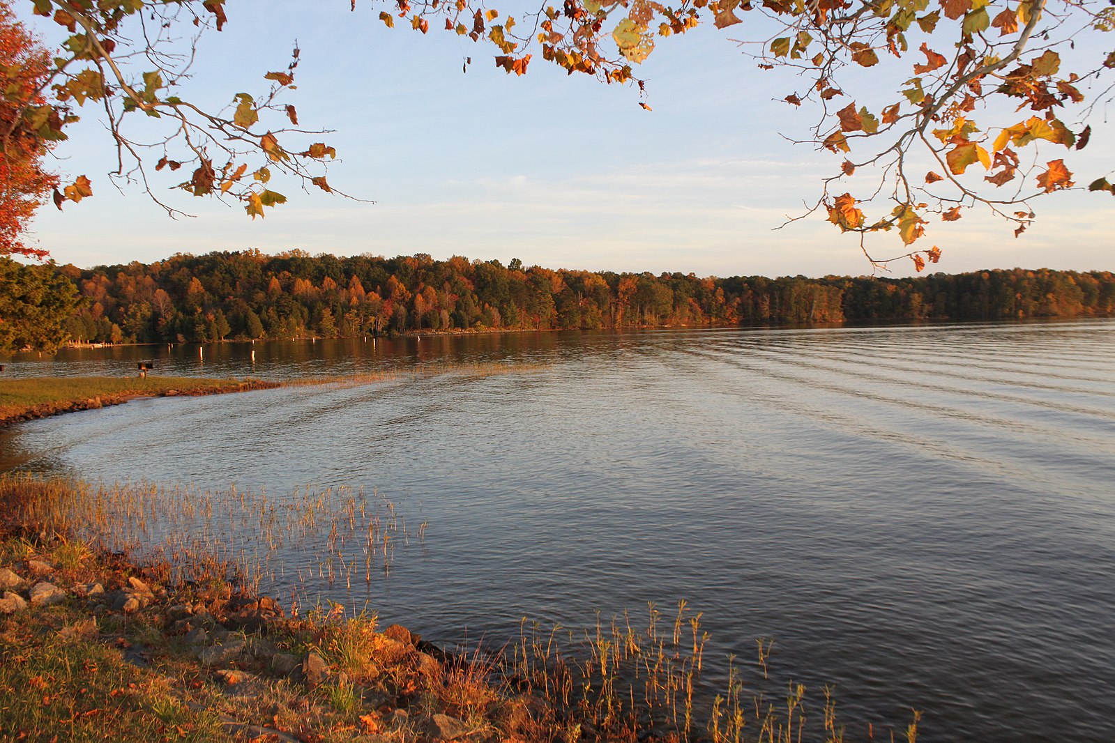 Featured image for “[Real Estate] Is Lake Anna an Anomaly in an Otherwise Stagnant Market?”