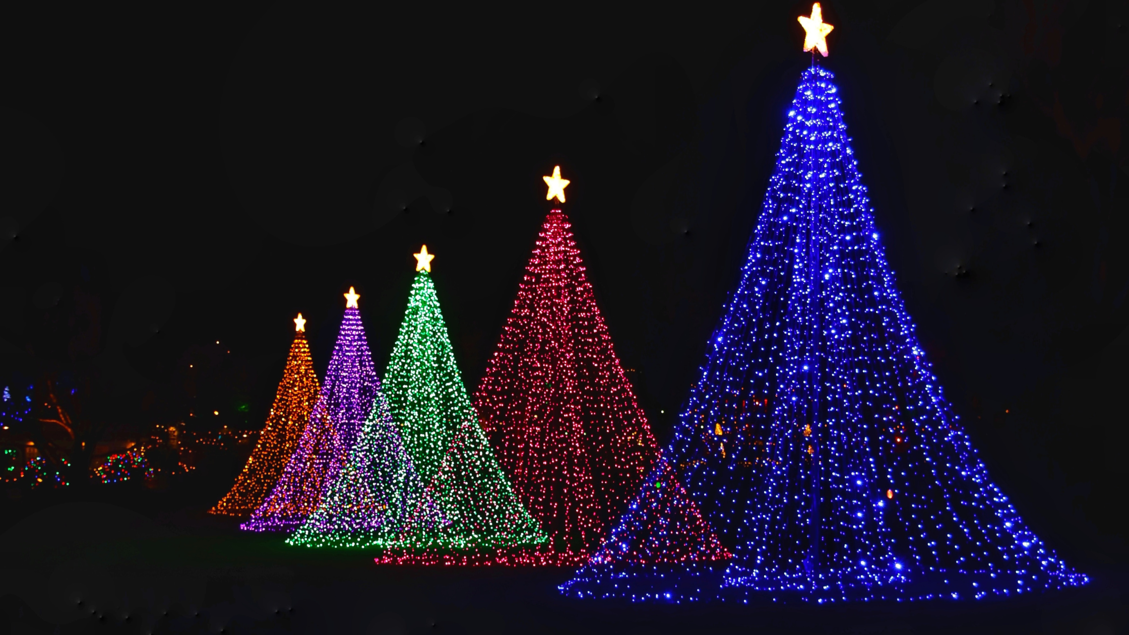 Featured image for “Christmas Lights Roundup: Where to see the best lights around Lake Anna, VA”