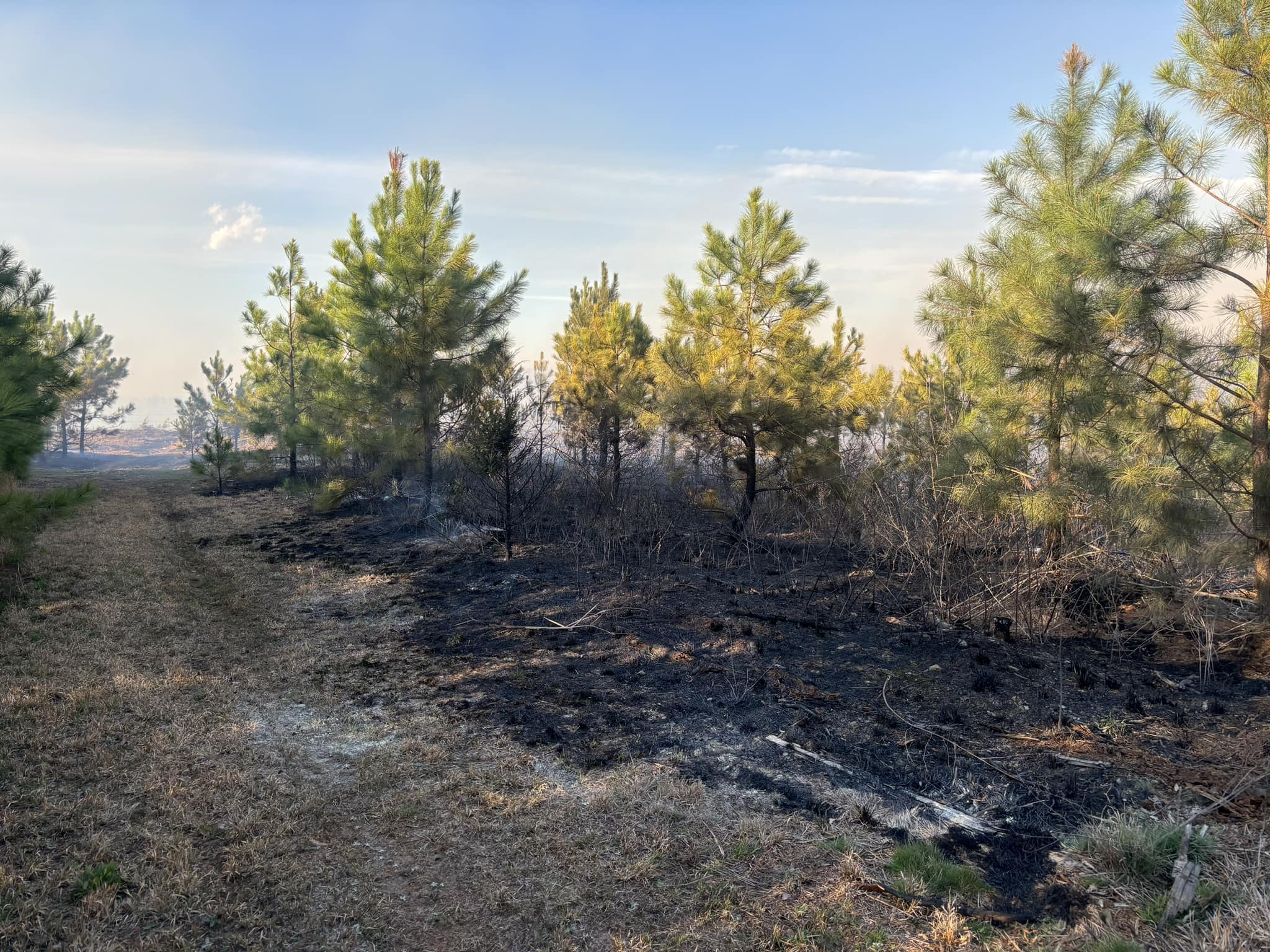 Featured image for “100% Contained: Louisa Fire Emergency Under Control”