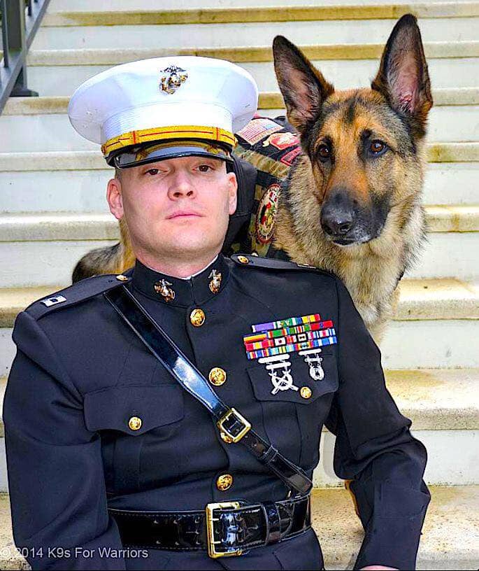 Featured image for “One Leash, Two Lives: Former Marine Finds New Mission to Save Lives through Service Dogs”