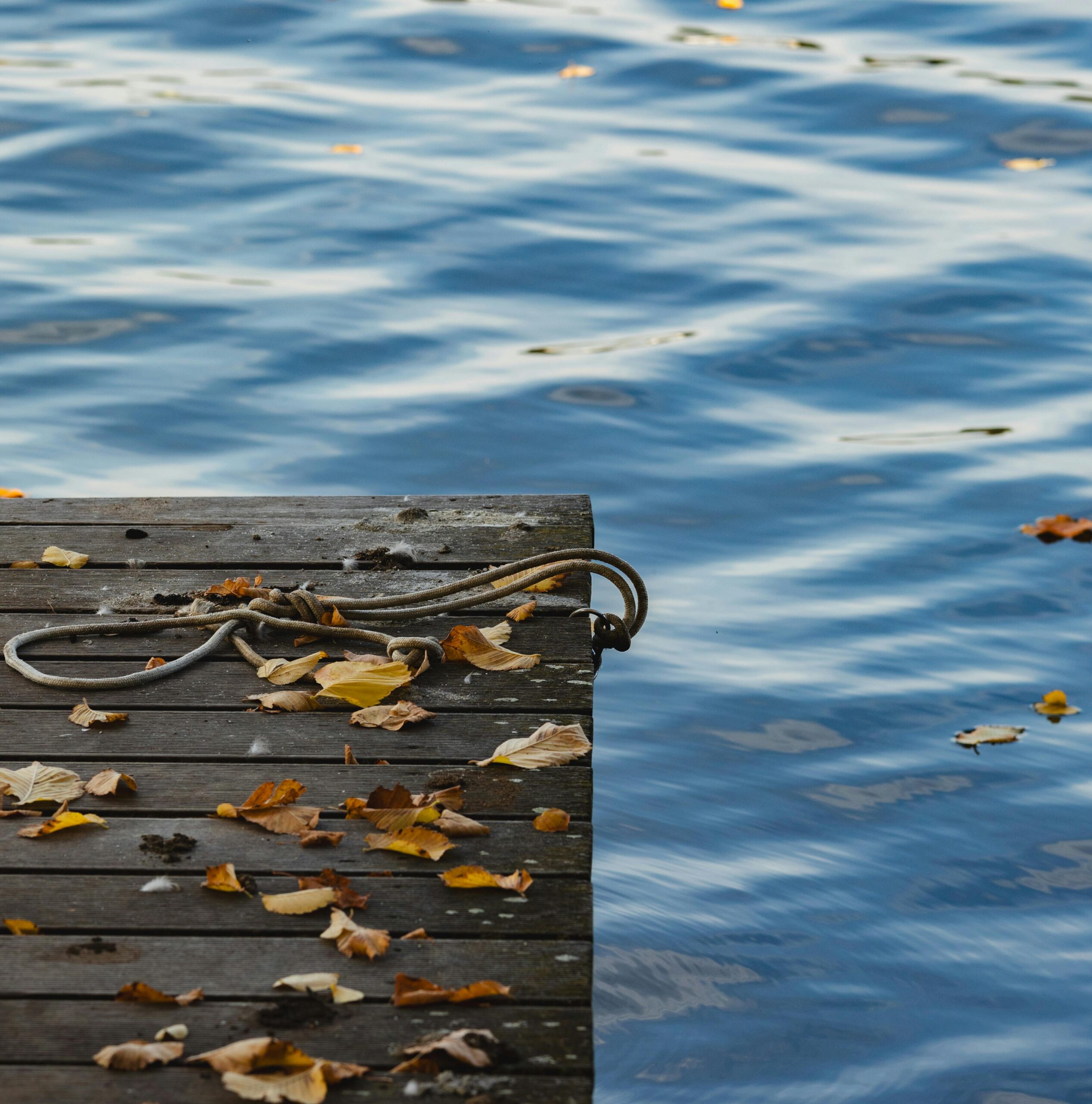 Featured image for “Fall Dock Projects: Jumpstart Your Next Fall Season”