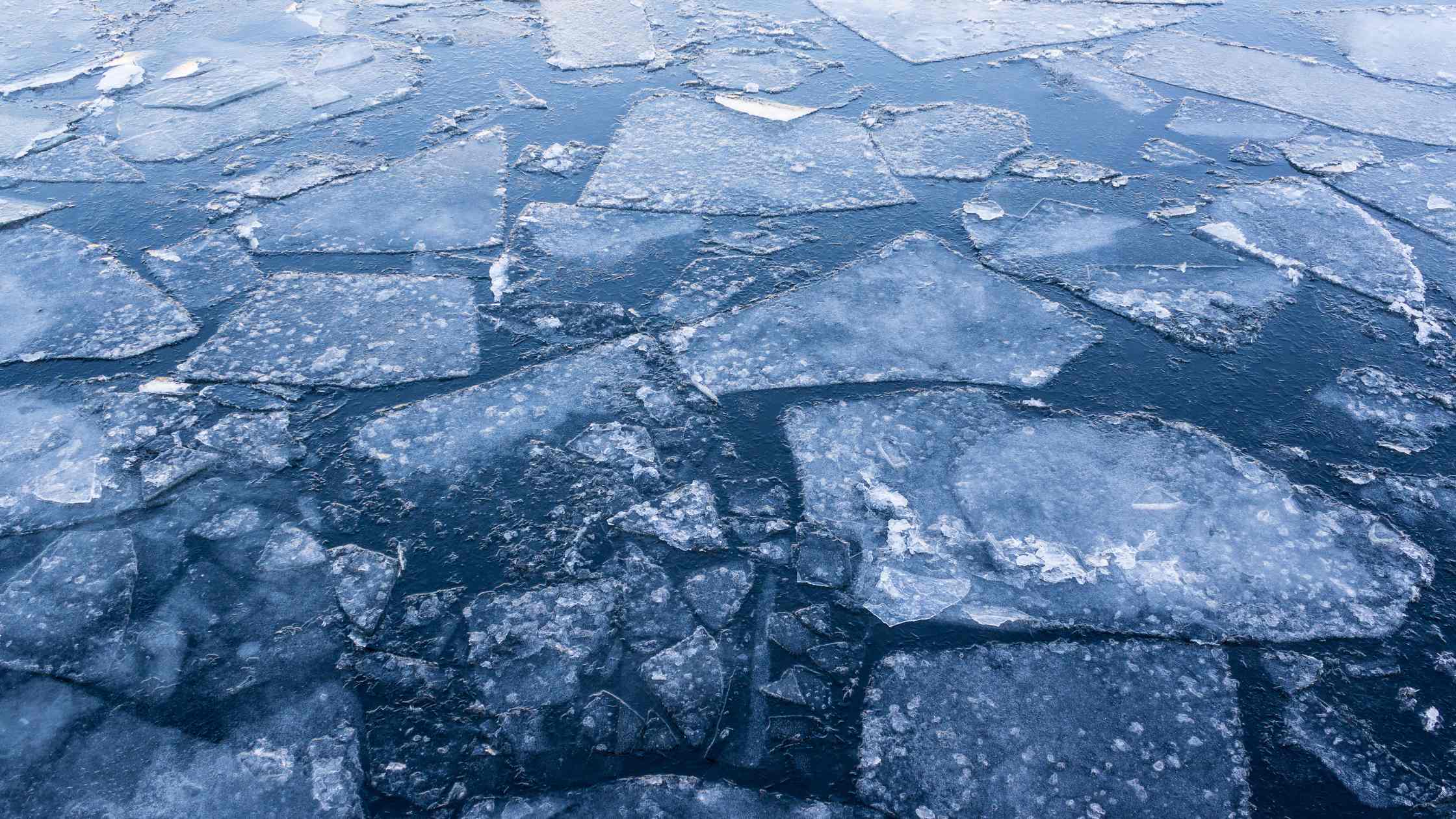 Featured image for “Boys Rescued After Falling Through Ice”