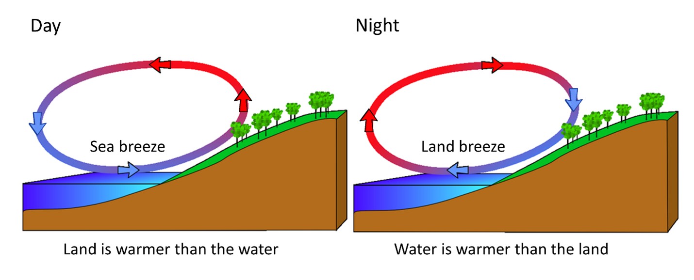 Featured image for “Lake Anna’s Microclimate: Warm Water Influence”