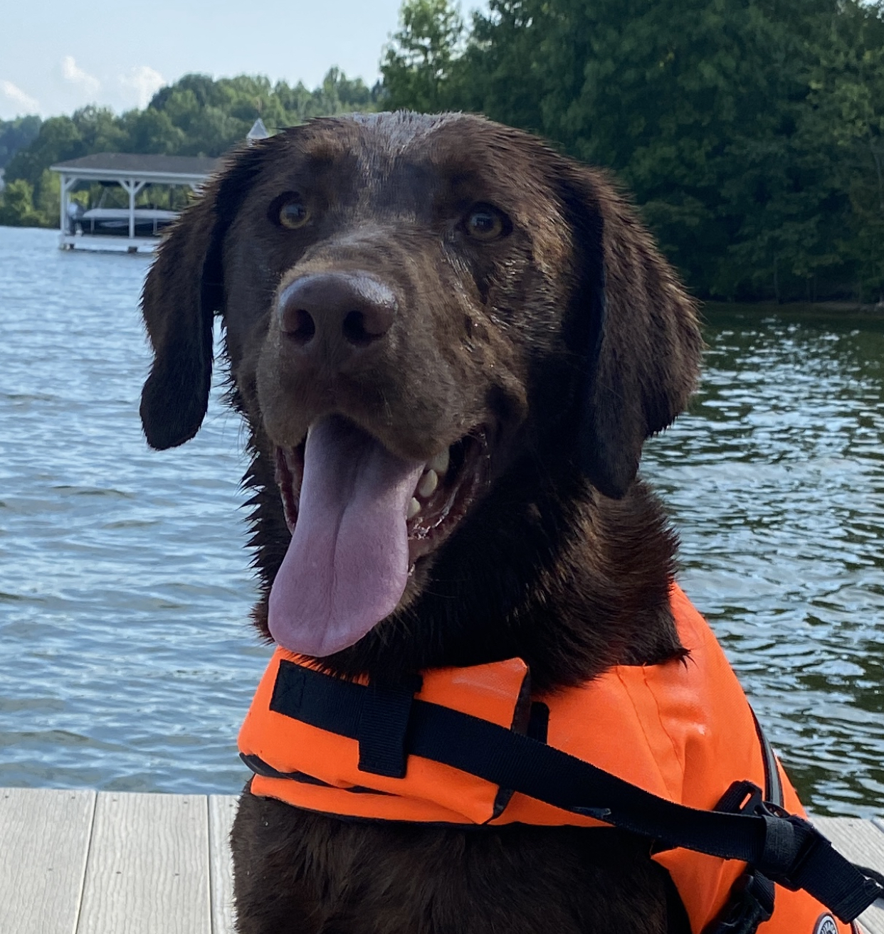 Featured image for “Beau’s Perspective: Dodging Loud Floaties”