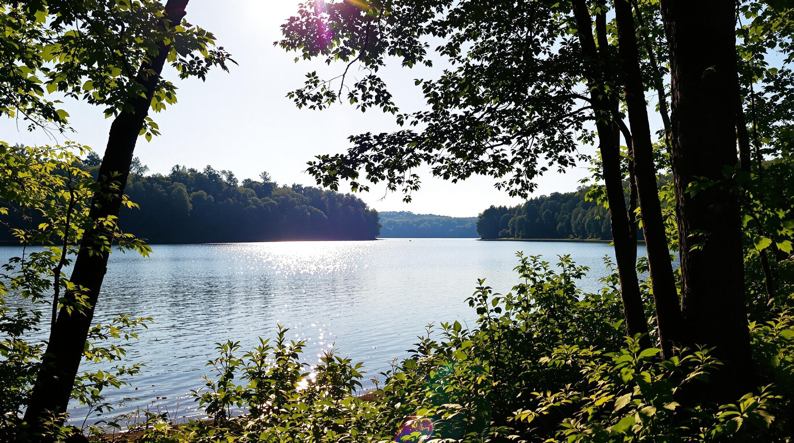 Featured image for “Creating the Perfect Welcome for Your Lake Anna Wedding Guests: A Heartfelt Journey”