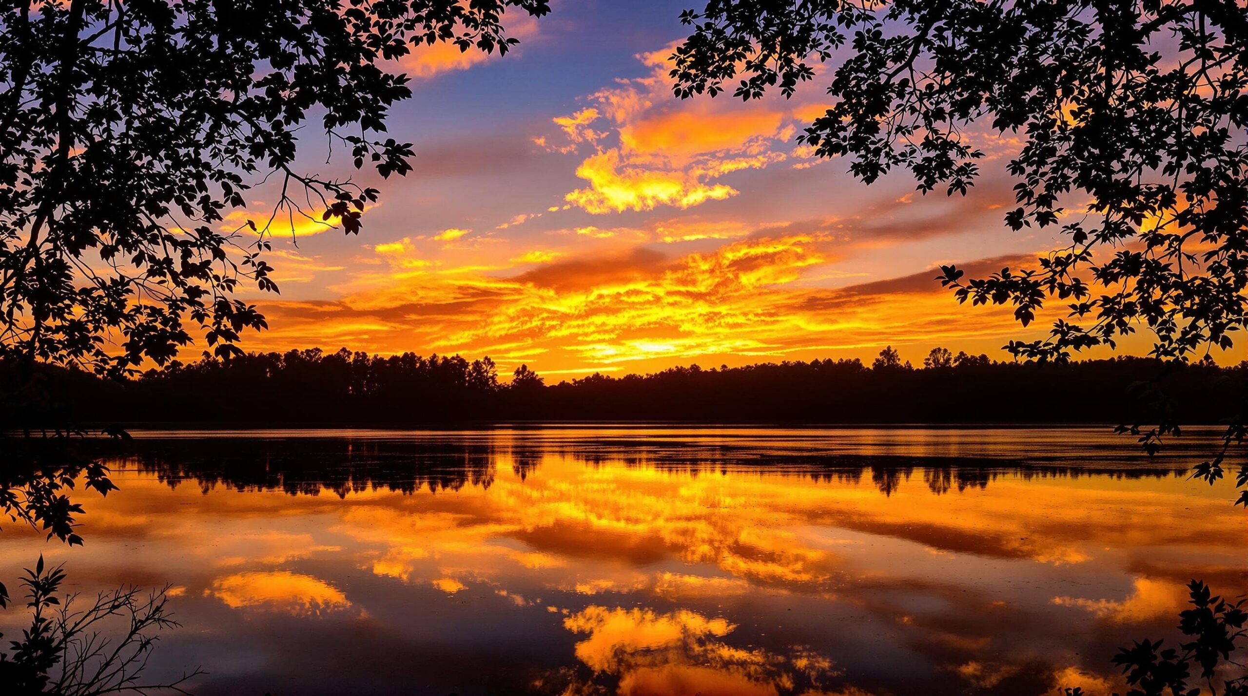 Featured image for “Discover Hidden Gems: Unique Outdoor Photo Opportunities Around Lake Anna”