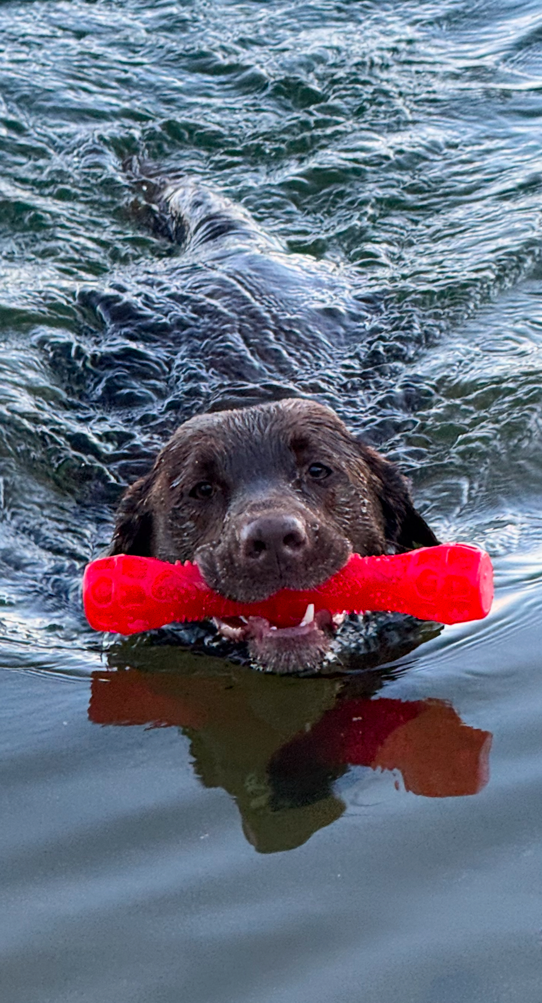 Featured image for “Beau’s Perspective: The Red Stick”