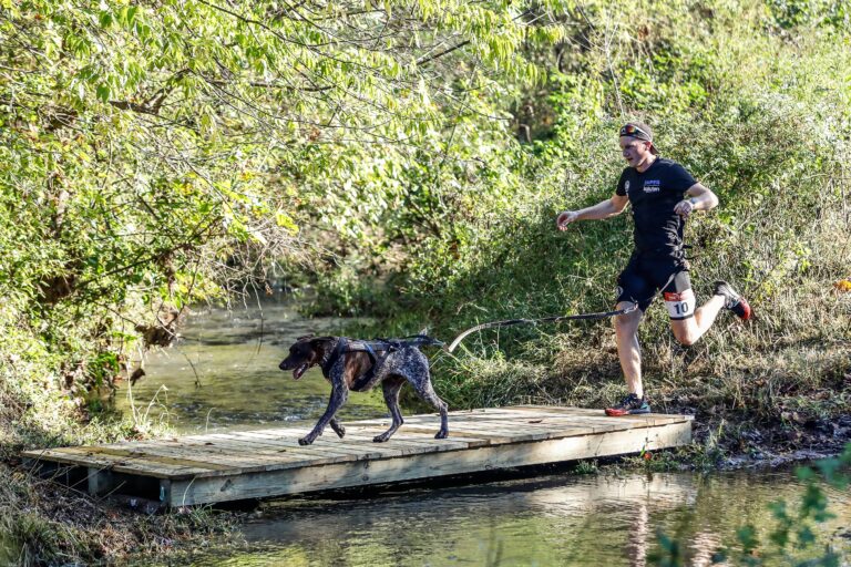 Featured image for “Local Author’s Debut Book Becomes Bestseller, Offers Hope for Healing Dogs Without Surgery”