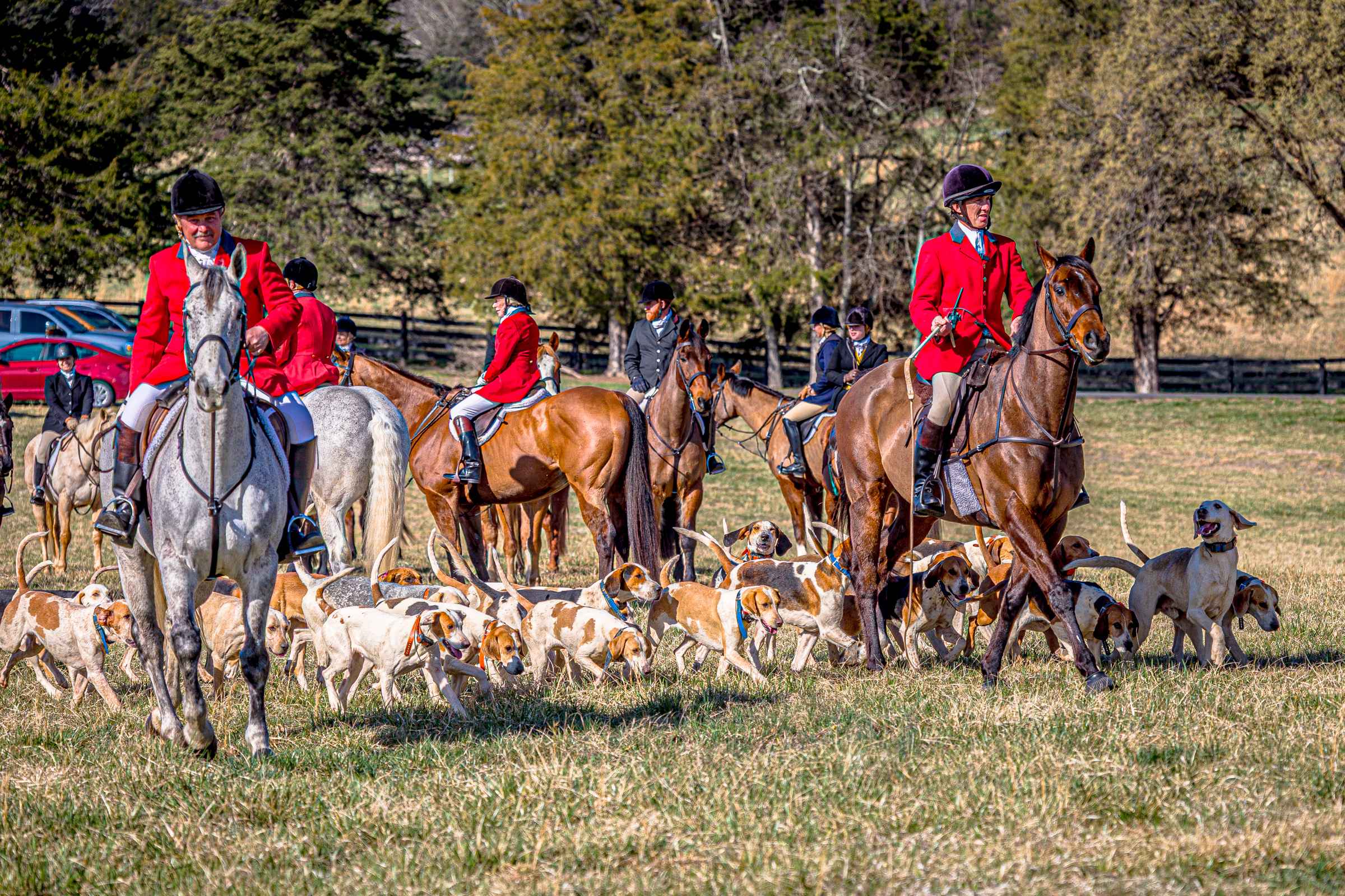 Featured image for “Inside Piedmont Hunt Country: The Camaraderie of the Chase”