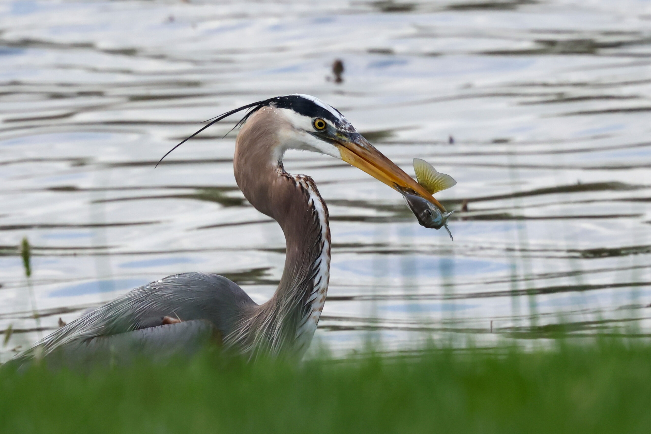 Featured image for “Unveil 2025 Showcases Photographers and Artists and Lake Anna”