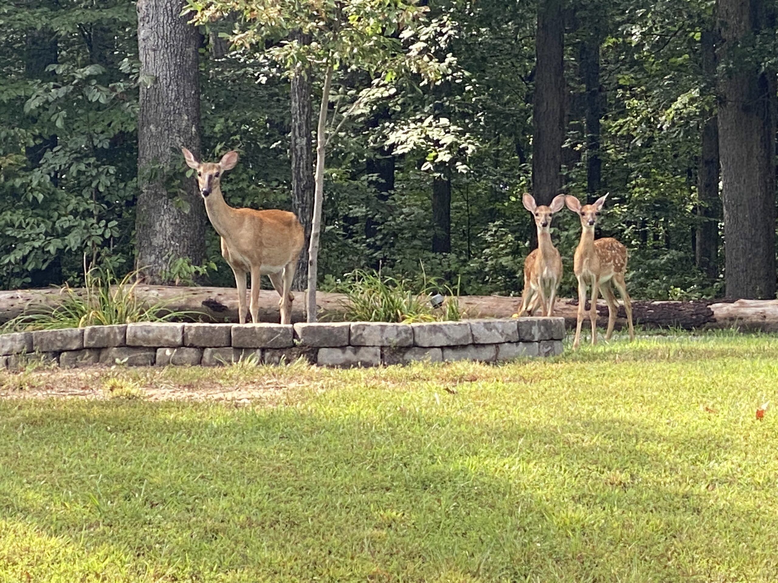 Featured image for “Beaus Perspective: They’re Out There”