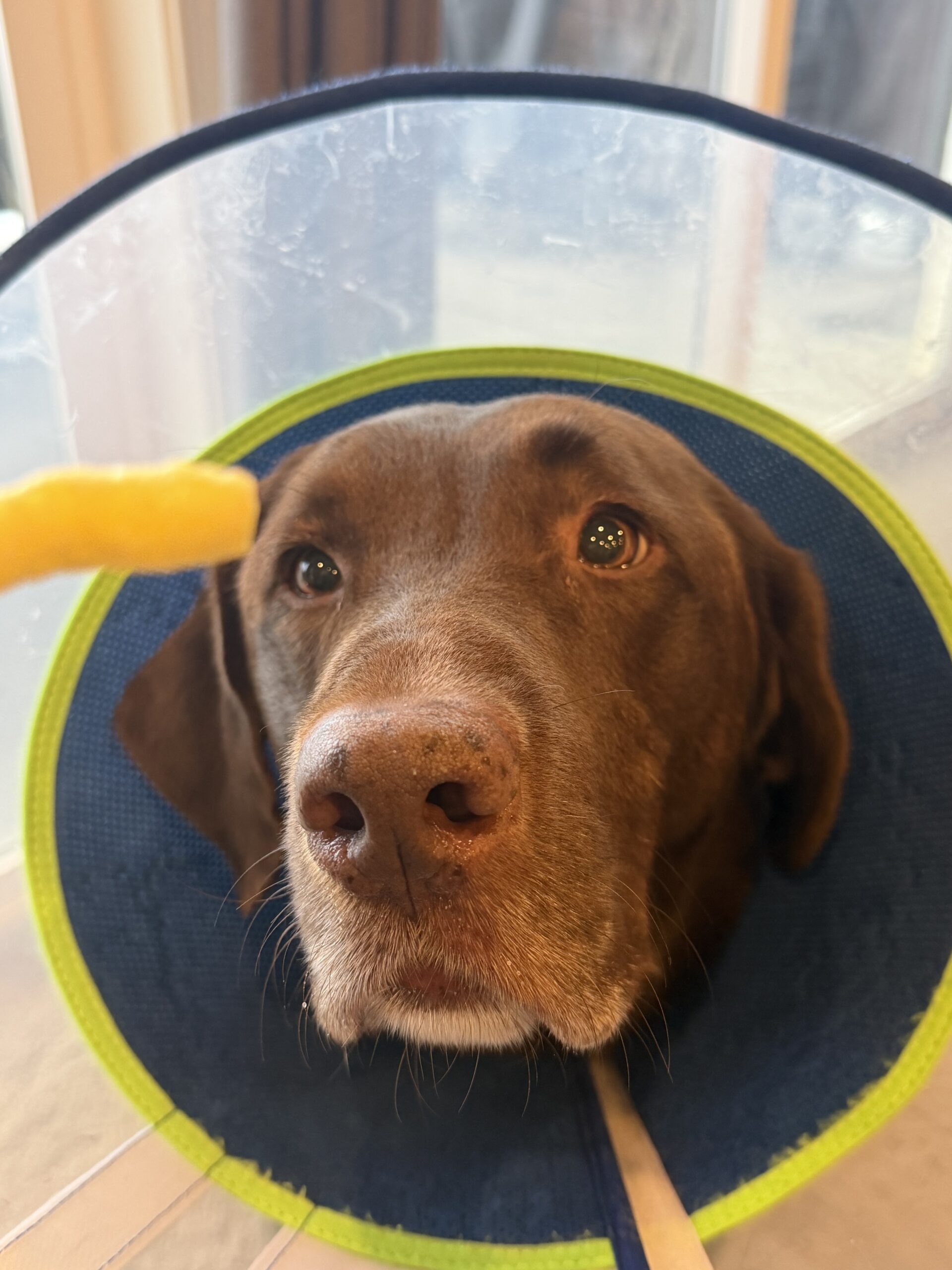 Featured image for “Beau’s Perspective: Hard Times and Crunchy Worm”